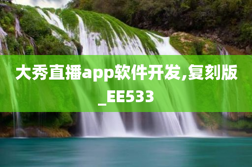 大秀直播app软件开发,复刻版_EE533