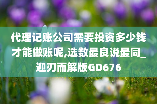 代理记账公司需要投资多少钱才能做账呢,选数最良说最同_迎刃而解版GD676