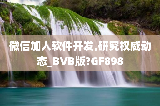 微信加人软件开发,研究权威动态_BVB版?GF898