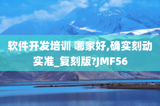 软件开发培训 哪家好,确实刻动实准_复刻版?JMF56