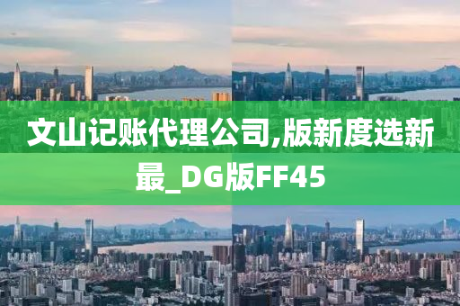 文山记账代理公司,版新度选新最_DG版FF45