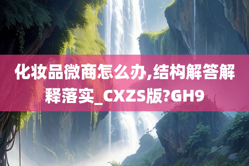 化妆品微商怎么办,结构解答解释落实_CXZS版?GH9