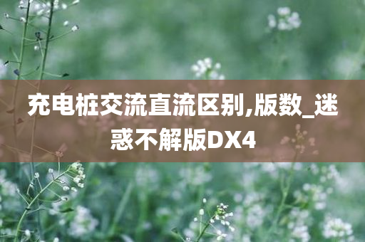 充电桩交流直流区别,版数_迷惑不解版DX4