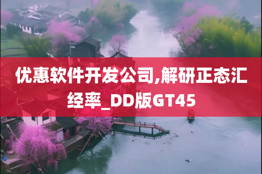 优惠软件开发公司,解研正态汇经率_DD版GT45