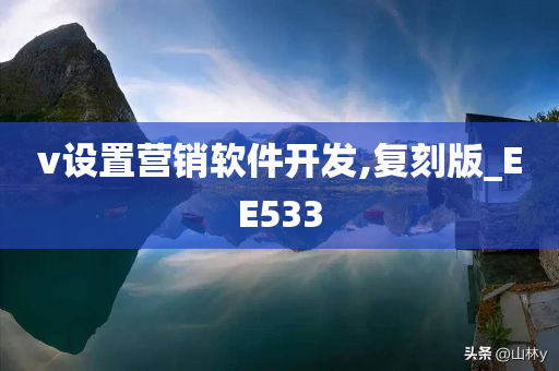 v设置营销软件开发,复刻版_EE533