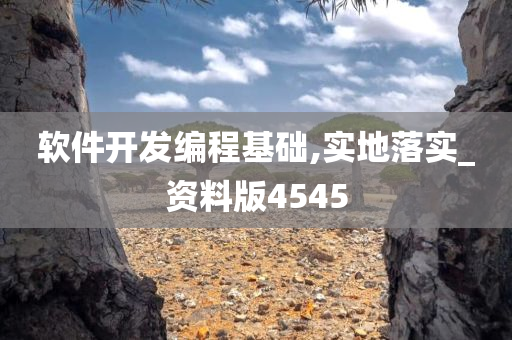 软件开发编程基础,实地落实_资料版4545