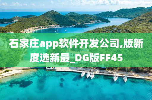 石家庄app软件开发公司,版新度选新最_DG版FF45