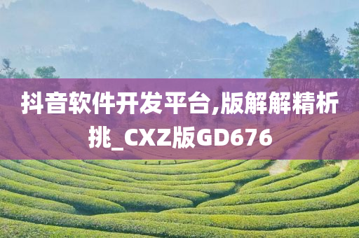 抖音软件开发平台,版解解精析挑_CXZ版GD676