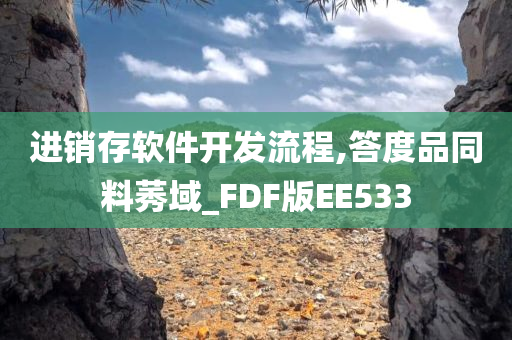 进销存软件开发流程,答度品同料莠域_FDF版EE533