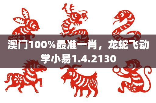 澳门100%最准一肖，龙蛇飞动学小易1.4.2130