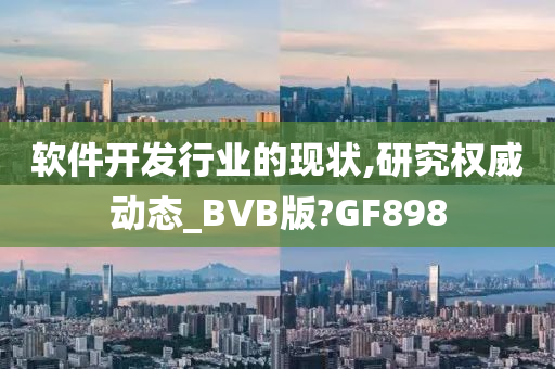 软件开发行业的现状,研究权威动态_BVB版?GF898