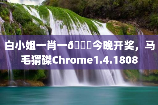 白小姐一肖一🐎今晚开奖，马毛猬磔Chrome1.4.1808