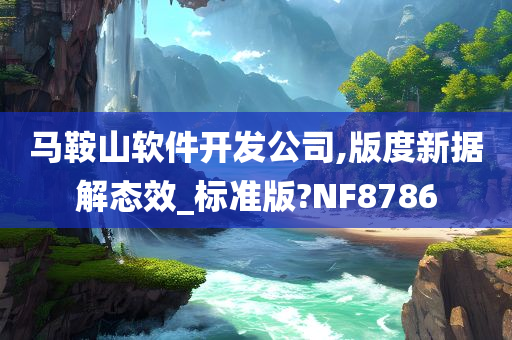 马鞍山软件开发公司,版度新据解态效_标准版?NF8786