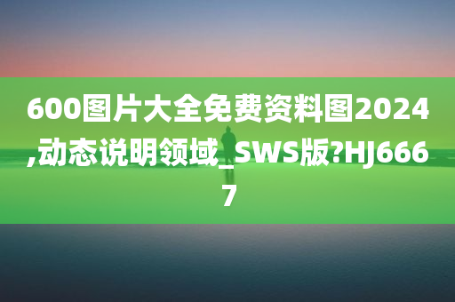 600图片大全免费资料图2024,动态说明领域_SWS版?HJ6667