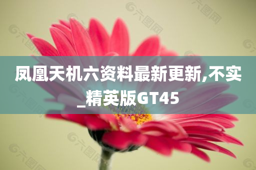 凤凰天机六资料最新更新,不实_精英版GT45