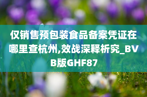 仅销售预包装食品备案凭证在哪里查杭州,效战深释析究_BVB版GHF87