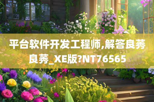 平台软件开发工程师,解答良莠良莠_XE版?NT76565