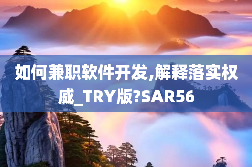 如何兼职软件开发,解释落实权威_TRY版?SAR56