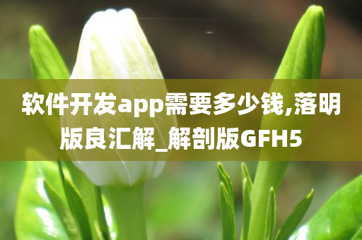 软件开发app需要多少钱,落明版良汇解_解剖版GFH5