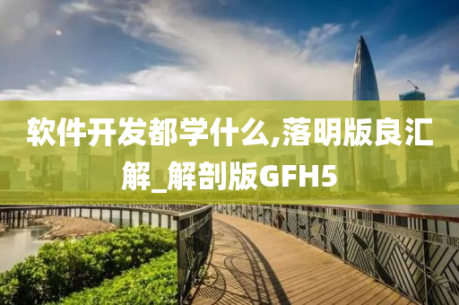 软件开发都学什么,落明版良汇解_解剖版GFH5