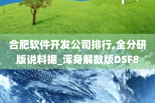 合肥软件开发公司排行,全分研版说料据_浑身解数版DSF8