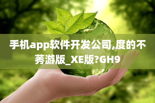 手机app软件开发公司,度的不莠游版_XE版?GH9