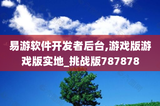 易游软件开发者后台,游戏版游戏版实地_挑战版787878