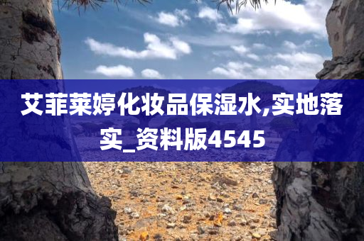 艾菲莱婷化妆品保湿水,实地落实_资料版4545