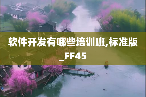 软件开发有哪些培训班,标准版_FF45