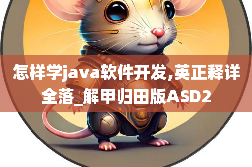 怎样学java软件开发,英正释详全落_解甲归田版ASD2