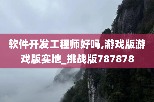 软件开发工程师好吗,游戏版游戏版实地_挑战版787878