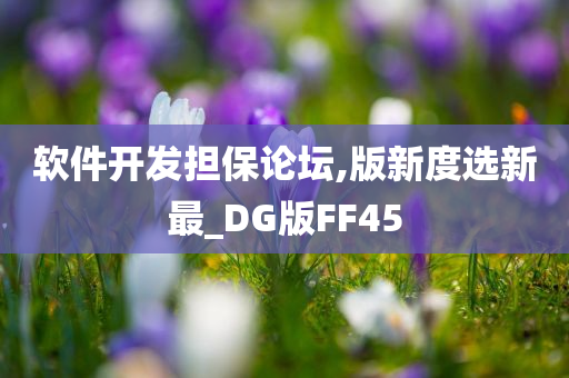 软件开发担保论坛,版新度选新最_DG版FF45