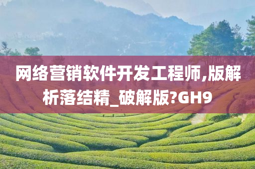 网络营销软件开发工程师,版解析落结精_破解版?GH9