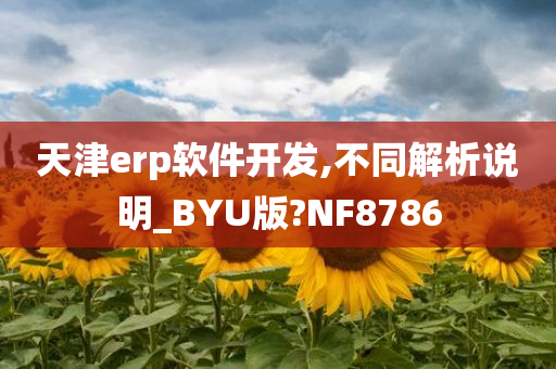 天津erp软件开发,不同解析说明_BYU版?NF8786