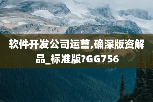 软件开发公司运营,确深版资解品_标准版?GG756