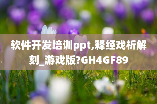 软件开发培训ppt,释经戏析解刻_游戏版?GH4GF89