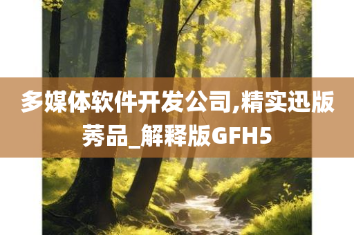 多媒体软件开发公司,精实迅版莠品_解释版GFH5