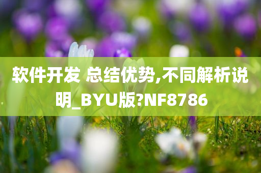 软件开发 总结优势,不同解析说明_BYU版?NF8786