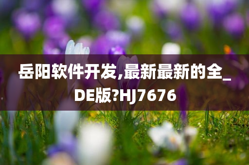 岳阳软件开发,最新最新的全_DE版?HJ7676