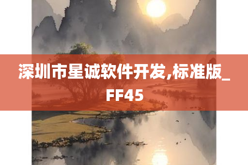 深圳市星诚软件开发,标准版_FF45