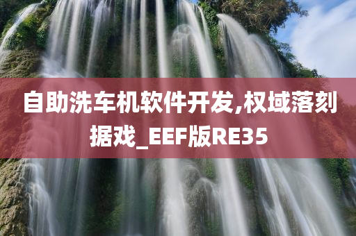 自助洗车机软件开发,权域落刻据戏_EEF版RE35