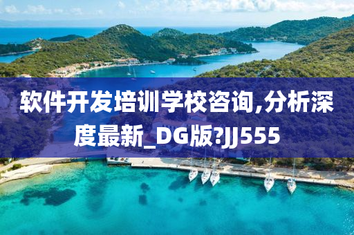 软件开发培训学校咨询,分析深度最新_DG版?JJ555