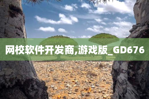 网校软件开发商,游戏版_GD676