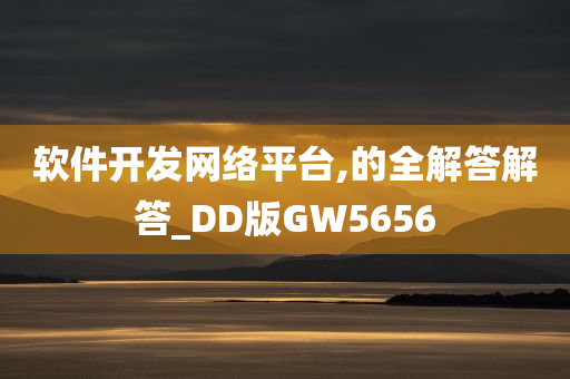 软件开发网络平台,的全解答解答_DD版GW5656