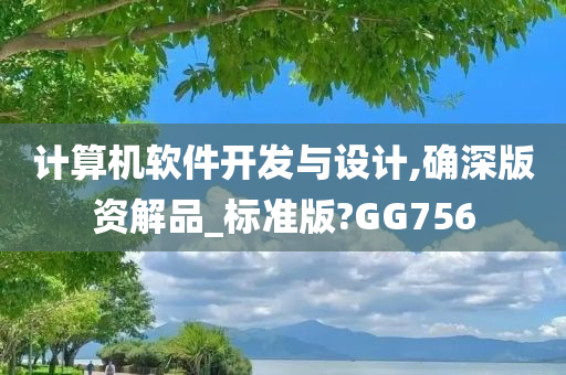 计算机软件开发与设计,确深版资解品_标准版?GG756