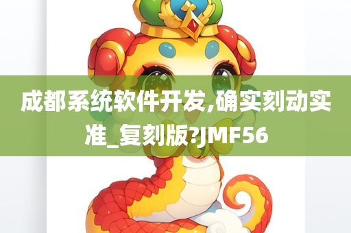 成都系统软件开发,确实刻动实准_复刻版?JMF56