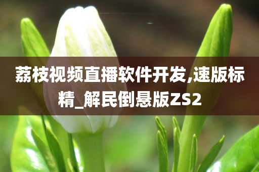 荔枝视频直播软件开发,速版标精_解民倒悬版ZS2