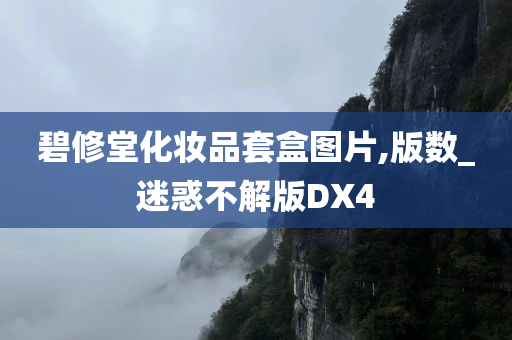 碧修堂化妆品套盒图片,版数_迷惑不解版DX4