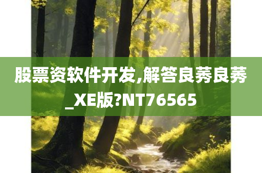 股票资软件开发,解答良莠良莠_XE版?NT76565