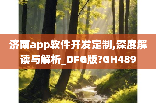 济南app软件开发定制,深度解读与解析_DFG版?GH489